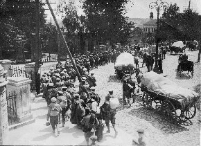 PL083 7034_vvv9343-44 krolewska zamojska zakret.jpg