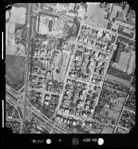 9_5395 bazylianowka.jpg 1981