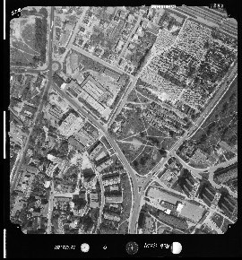 9_5398 unicka.jpg 1981