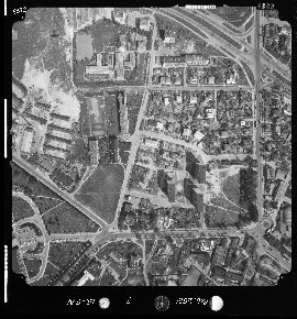 7_5372 hirszfelda.jpg 1981
